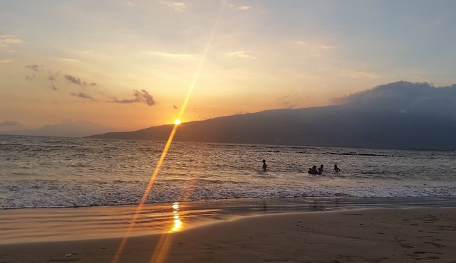 Great Rates - Clean and Cozy Condo!