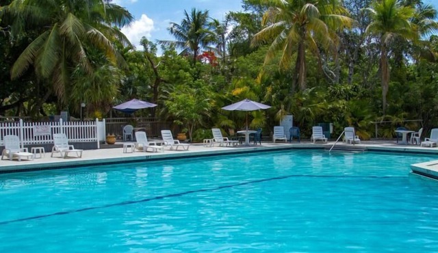 Great Relaxing Overnight Stay! 4 Pet-friendly Units, Free Parking, Onsite Pool