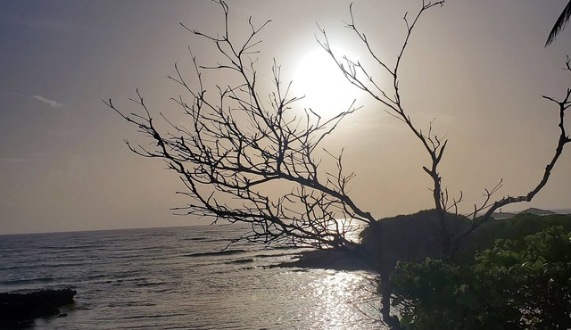 Great Studio Condo just steps from the beach and 5 min walk from everything else