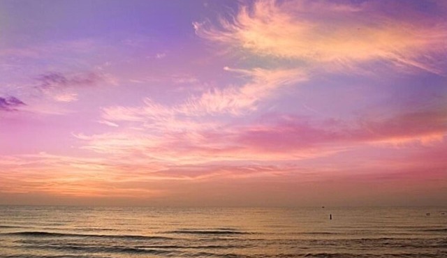 Great Studio - Under 2 minute walk to beach where dogs are welcome