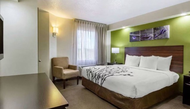 Great Tampa Location — Near Busch Gardens, Adventure Island & Freeway Access