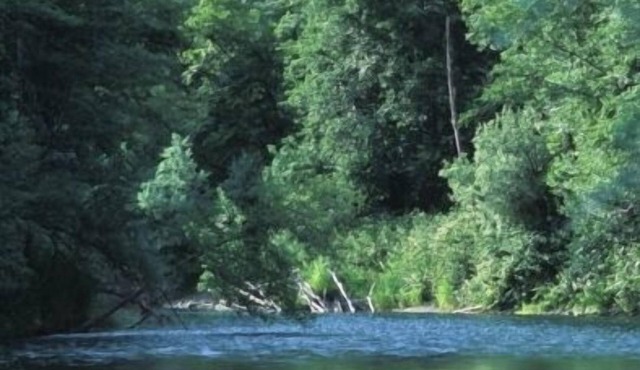 Great Trinity River Fishing at 3 Bed 2 Bath House, pets considered