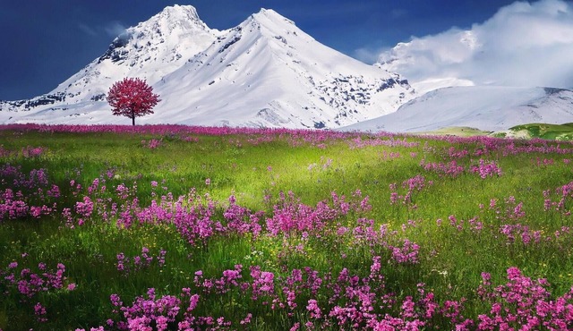 Great value in Little Ferry!