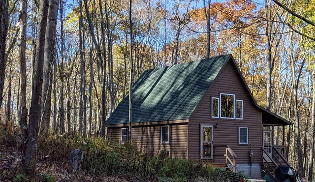 GREAT VALUE! The perfect cabin in the woods, 15 minutes away from Deep Creek.
