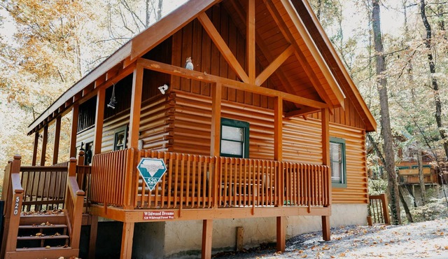 GREAT VALUE! Wildwood Dreams is an enchanting 2 BR, 2 story log cabin