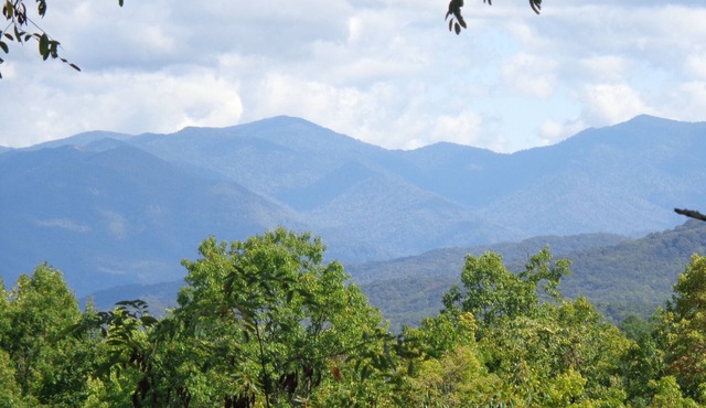 Great View & Location! 2 minutes to Gatlinburg & 7 minutes to Pigeon Forge
