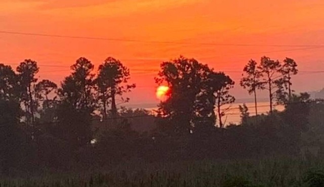 Great views and walking distance to the boat ramp at Lake Seminole!