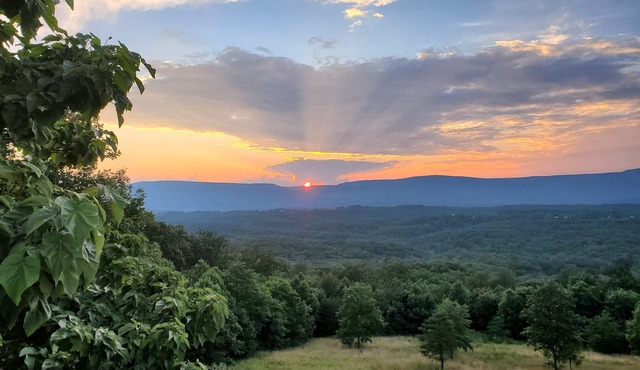Great views, hike onsite, work remotely, huge smart TVs & hot-tub