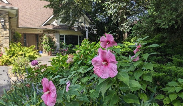 Greater Toronto B&B