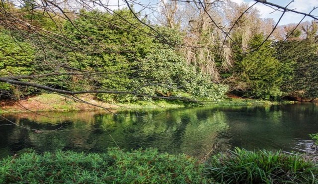 Grebe Cottage Bonchurch Isle of Wight . Idyllic setting.