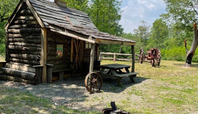 Green Acres Cabin at Turn Back Time - Reconnect with Nature