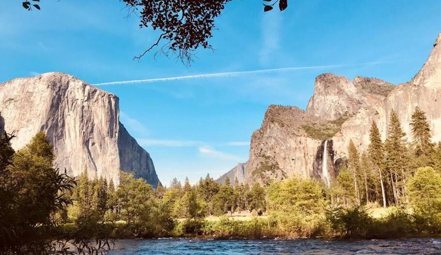 Green Cabin in Midpines