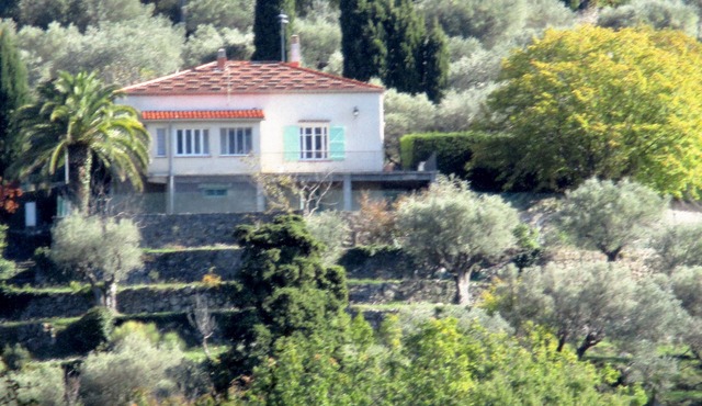 green cedar. a preservé environment