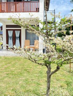 Green Corner VILLA