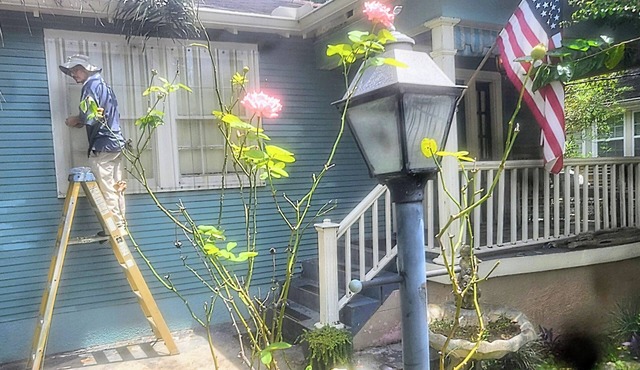 GREEN DOOR COTTAGE nCharming New Orleans home 10 mins from the French Quarter.n