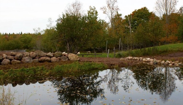 Green Dragon Organic Farm and B&B