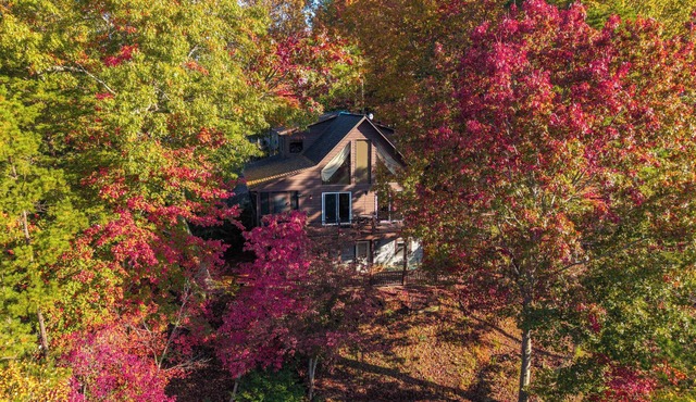 Green Forest Lodge - Pet Friendly