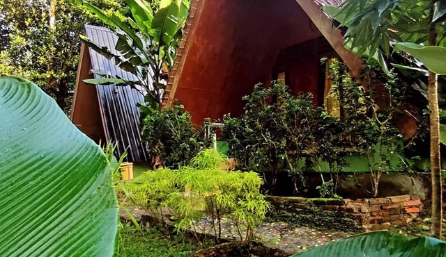 Green Forest Tangkahan