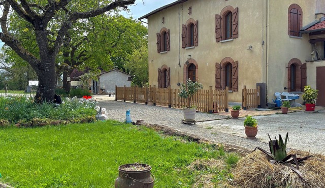 Green haven of peace