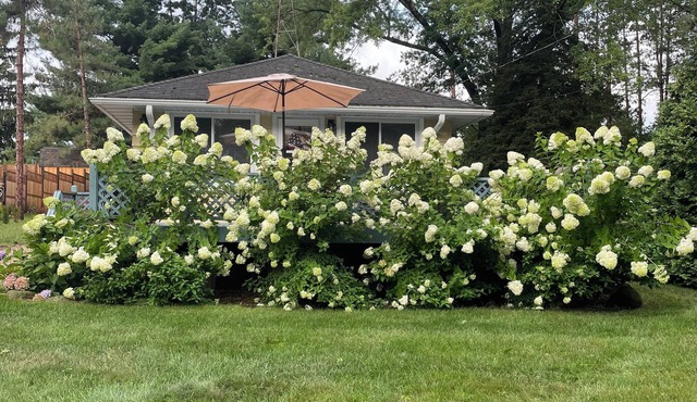 Green Lake Terrace - AC- Fenced Yard -Dog Friendly. 2 short blocks to the beach.