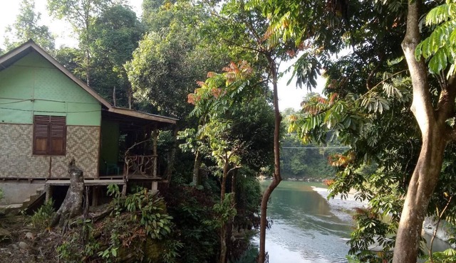 Green Lodge Tangkahan