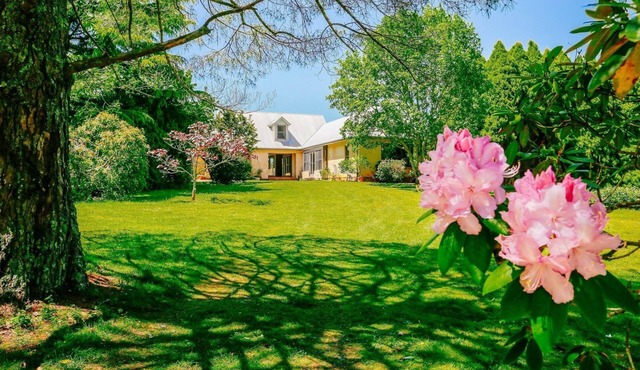 Green Meadow Farm - wonderful country stay for families & friends