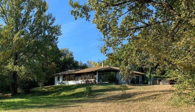 Green Oak Windows and Wood