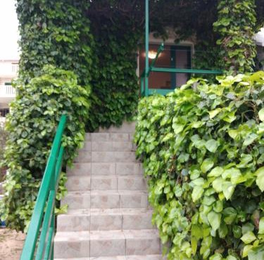Green Oasis