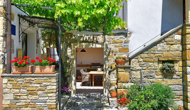 Green paradise in the center of Istria
