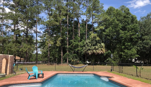 Green pastures with pond & pool in Silver Springs