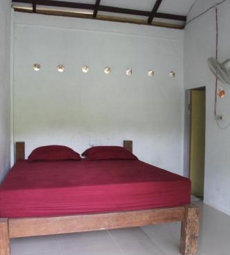 Green View Guest House only treking with US