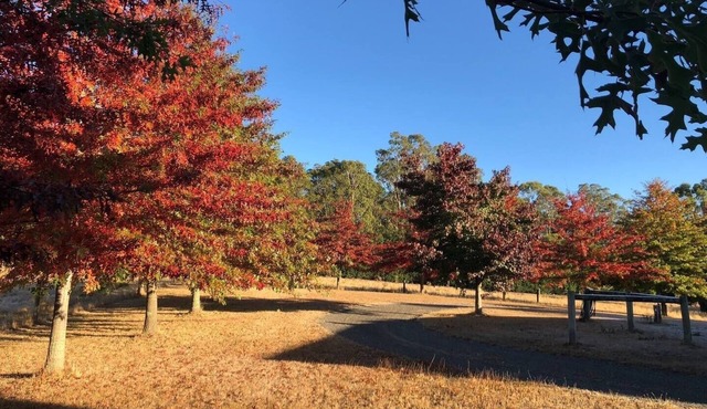 Greenacres - Relaxing Escape in the Macedon Ranges