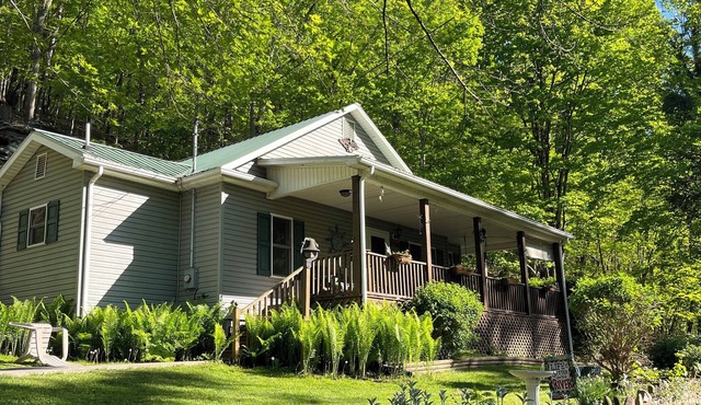 Greenbrier River Front Cottage/2 BR/2 BA/Peaceful Water Views with WiFi, AC