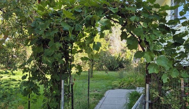 Greenish-Acres Farmhouse