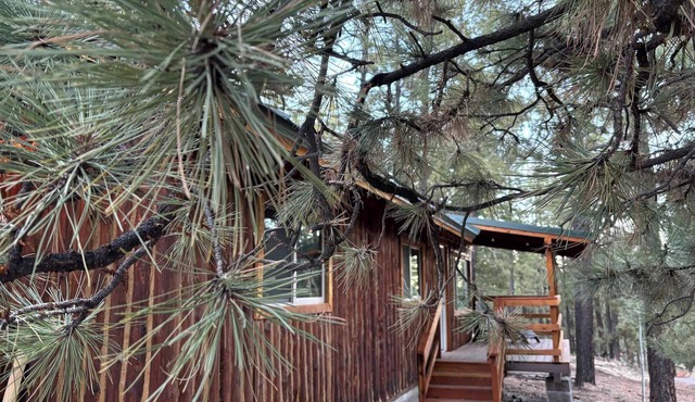 Greer Piney Hollow Cabin