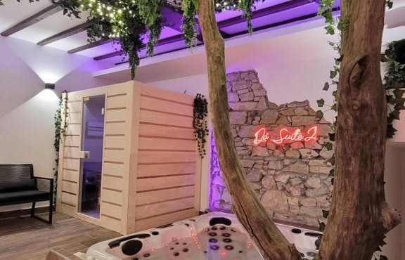 Grenoble LA SUITE 2 spa jaccuzzi et sauna privatif
