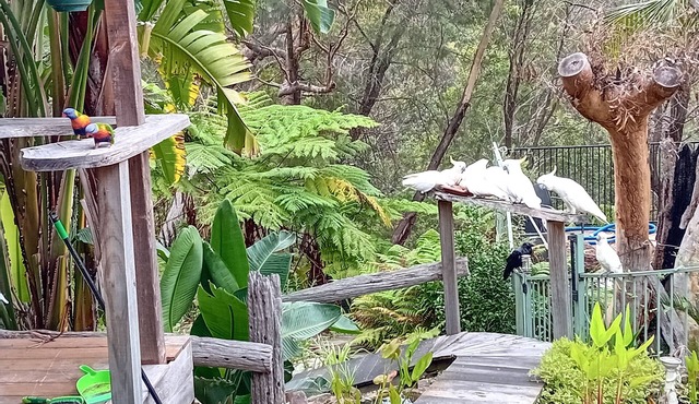 Grey Gum Cedar HousenEdge of National ParknDeck BBQ Pool BarnClose to station