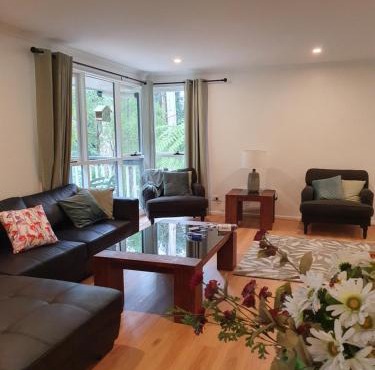 Grey Gum Getaway Tecoma