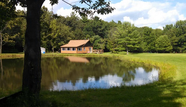 Grey's Getaway Cabin 5 acres, Finger Lake area a little slice of heaven!