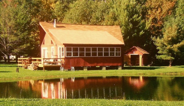 Grey's Getaway Cabin, Serene Finger Lake area, wine country ! Dog friendly!