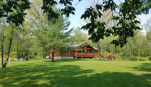 Grey's Getaway Cabin# 3 Cabin is a Slice of heaven in Finger lakes region!