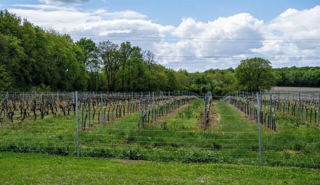 GRÉZAC, this is your home.