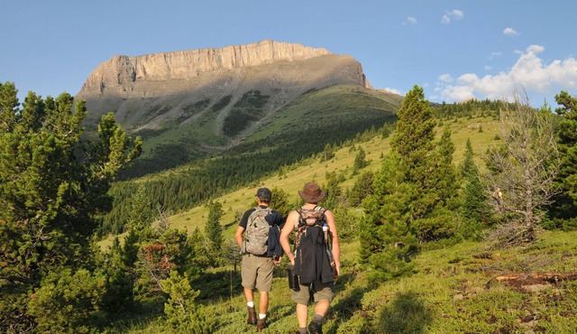 Grizzly Suite at Rocky Mountain Front Retreat - Harmony in paradise