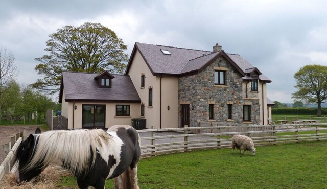 Groesfaen Bach - Seven Bedroom House, Sleeps 14