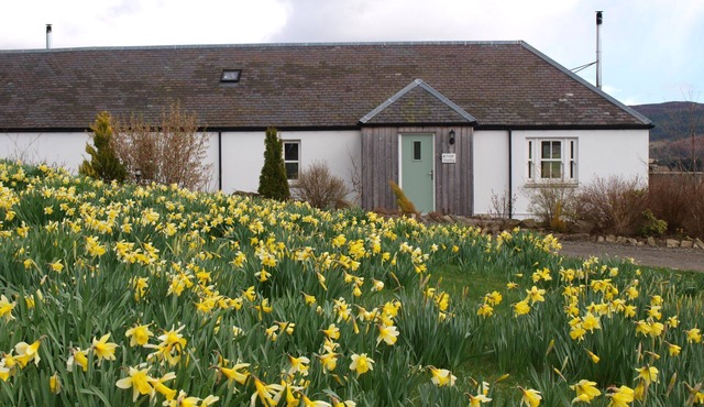 Groose Hoose - a cottage that sleeps 4 guests in 2 bedrooms