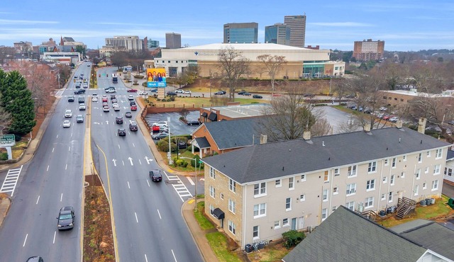 Groovy 2BR Downtown Greenville Condo w/ King Beds