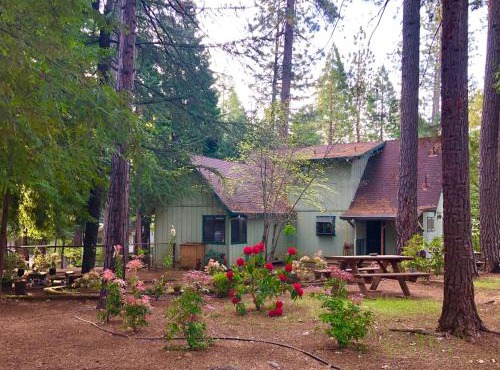 Groovy Cabin in the Woods