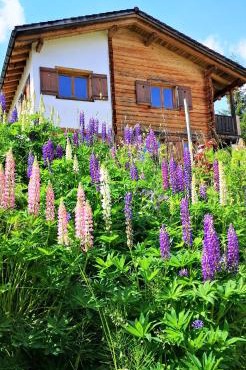 grosses Ferienhaus mit Sauna im Skigeb. Obersaxen