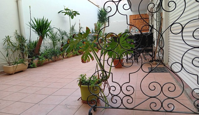 Ground floor studio 17 m2 Beachfront and sheltered terrace