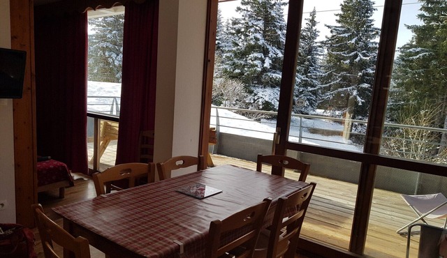 Ground floor apapartment in Chamrousse